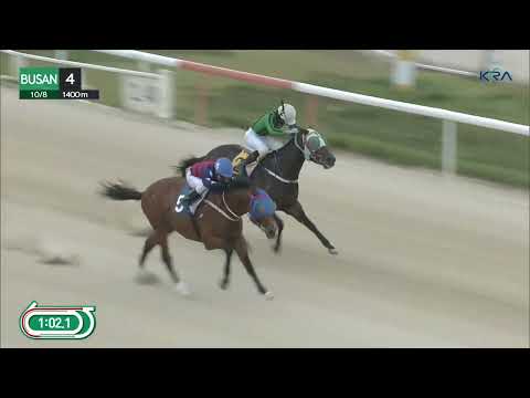(Busan) 2023.10.08 R4 Class 4 (1400M) Handicap