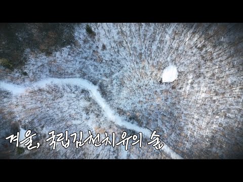 겨울, 국립김천치유의 숲