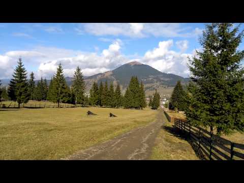 Toamna la Dorna Candrenilor