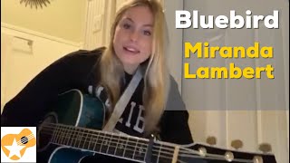 Bluebird | Miranda Lambert | Beginner Guitar Lesson @Brooke Hatala