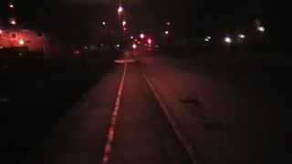 Trembling Blue Stars - All I Never Said