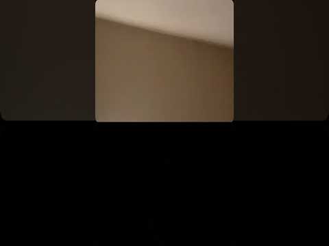 #toutlemonde le japap