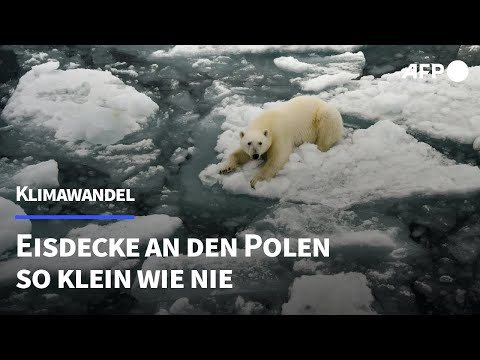 Globales Meereis schrumpft auf Rekordtief | AFP
