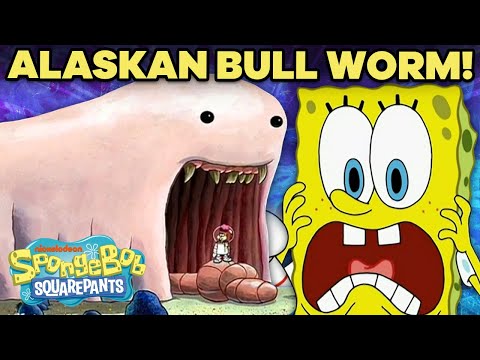 為什麼阿拉斯加牛魔王的情節是最偉大的之一｜海綿寶寶----。 (Why the ALASKAN BULL WORM Episode is One of the Greatest | SpongeBob)