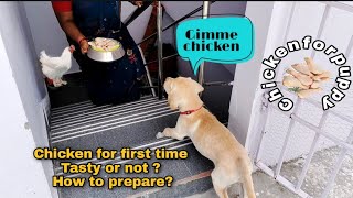 How to prepare chicken for puppy | Labrador puppy eats Chicken for first time