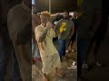 Shanthi Smokio Fill T 2024 ️ Dopegang Hiphop Rap Kevinsmokio Music Live Rapper