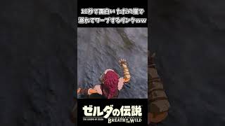 10秒で面白い ただの崖で溺れるリンクｗｗ【ゼルダの伝説 ブレス オブ ザ ワイルド】