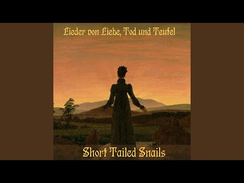 Ich zoch mir einen Valken