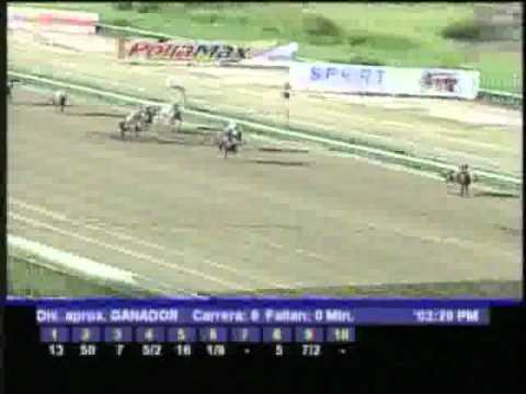 Resumen Domingo, 13 de Noviembre de 2011 - La Rinconada