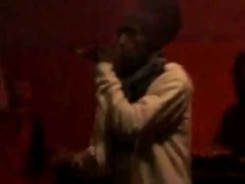 NICHE FLOW - MORODO - LIVE