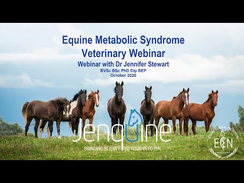 Equine Metabolic Syndrome (EMS) - Veterinary Webinar with Dr Jen Stewart