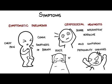 Infection à Cryptococcus Neoformans – Symptômes, Physiopathologie, Diagnostic et Traitement