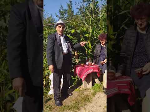 FAMILIA, ENGLEZU FERICIT