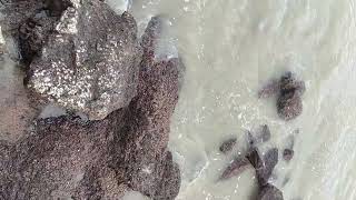 ดูปูเปรี้ยวตัวเป็นๆครั้งแรกสีสวยมากปกติเห็นแต่ในส้มตำ😬😁