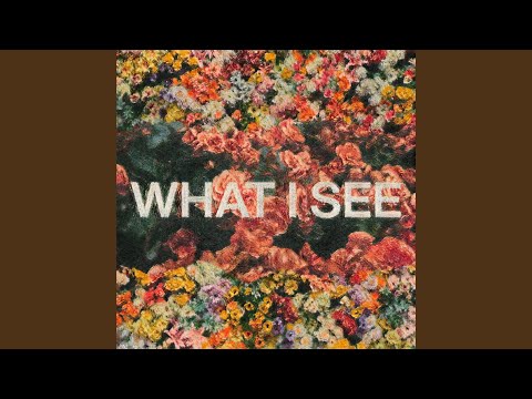 What I See (feat. Chris Brown)