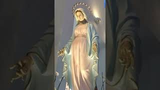 Maryja - Matka Boga - Zawierzenie Maryi #Shorts