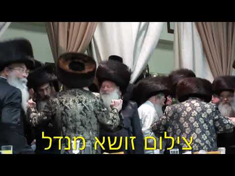 Viznitzer Rebbes At Spinka - Lelov - Dzikov Viznitz Wedding - Sivan 5781