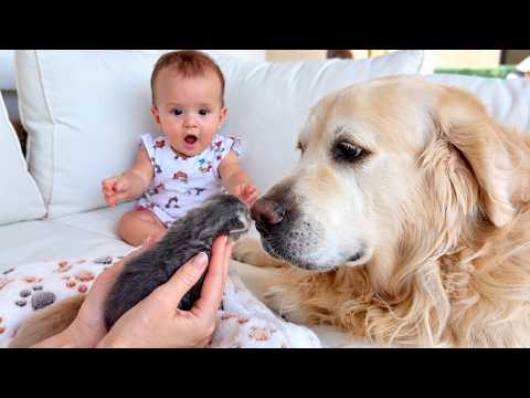 YouTube 썸네일