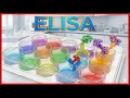 Enzyme Linked Immunosorbent Assay ELISA Animation