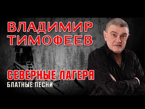 Владимир Тимофеев - Северные лагеря | Блатные песни @rushanson