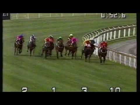 1992 Blue Diamond Stakes - Riva Diva