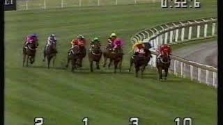 1992 Blue Diamond Stakes - Riva Diva