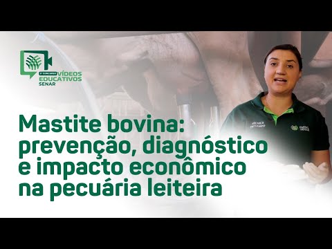 Mastite bovina: prevenção, diagnóstico e impacto econômico na pecuária - Bárbara da Silva (SC)