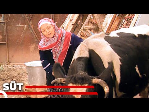 Süt - Kanal 7 TV Filmi