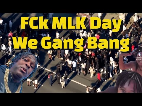 Crazy gang Fight breaks out At MLK Parade 