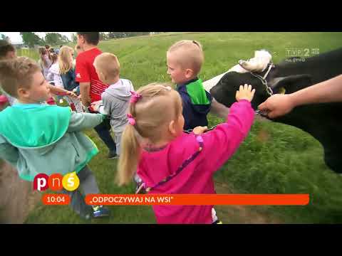 AGROTURYSTYKA POD BRZOZAMI WYPOCZYNEK NA WSI TO JEST TO!