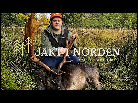 Jakt i Norden - Drevjakt, en omväxlande jaktform (del 1)