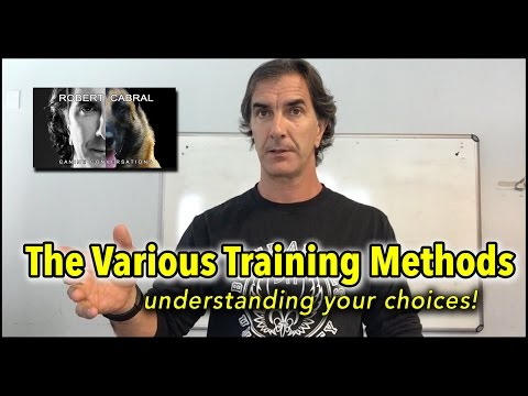 Choosing the Right Dog Training Method - Bound Angels University September 2016