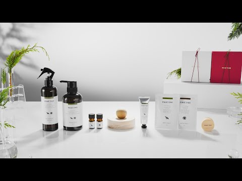 Meet Tree 히노키 바디 & 아로마 케어