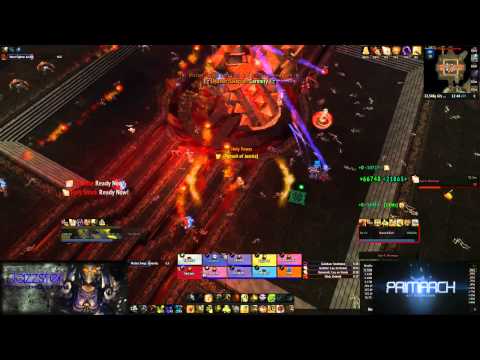 Primarch vs. Dark Animus 10M Holy Paladin PoV