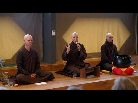 Dharma talk ‘Being Peace’ | Amsterdam 5 mei 2022 | Sr True Dedication
