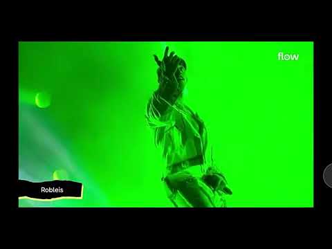 Robleis,Angela Torres -OMG en el lollapalooza