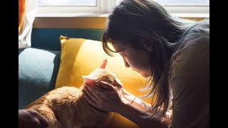 Download lagu Follow You - Lyrics (Special Delivery ) mp3