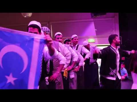 Türkmen eglencesi İsveç