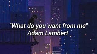 Whataya Want from Me/Adam Lambert  Lyric español