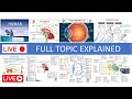 GRADE 12 LIFE SCIENCES NERVOUS SYSTEM BRAIN SPINAL CORD REFLEX ARC EYE EAR THUNDEREDUC