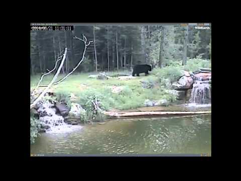 21 June 2014 It's all about Ted Ted