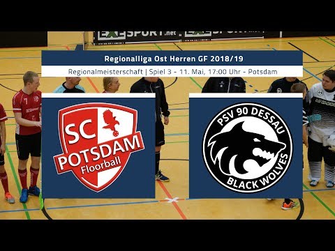 Regionalliga Ost Herren GF 18/19 | RLM - SC Potsdam - PSV 90 Dessau