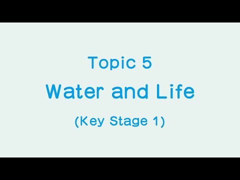 Junior Primary : Topic 5 "Water and Life"