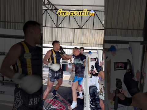 ใครโดนล่วงแน่ อัดกันโหด😱 #บัวขาว #แสนชัย #มวยไทย #muaythai