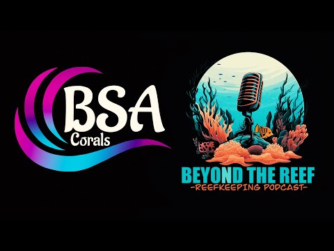 Episode 06: BSA Corals (Ben Aronowitz)