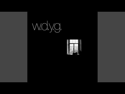 w.d.y.g.