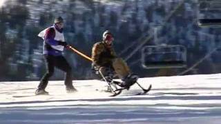 Disabled Sports USA - Since 1967, providing adaptive sports to wounded warriors, youth and adults