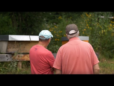 beeMOOC - Bar Hive - Bienenbehausung