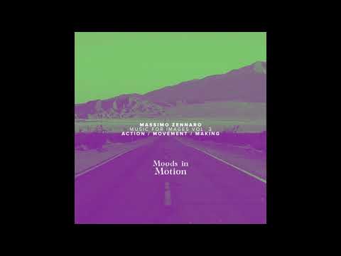 Massimo Zennaro - Action Peaceful Work