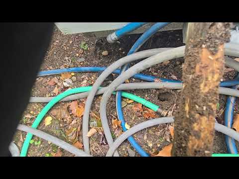 Termites Discovered in Termite Monitors in East Brunswick, NJ